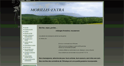 Desktop Screenshot of morilles-extra.com